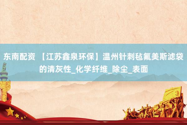 东南配资 【江苏鑫泉环保】温州针刺毡氟美斯滤袋的清灰性_化学纤维_除尘_表面