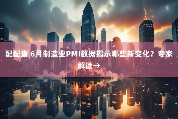 配配查 6月制造业PMI数据揭示哪些新变化？专家解读→