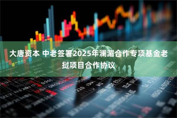 大唐资本 中老签署2025年澜湄合作专项基金老挝项目合作协议