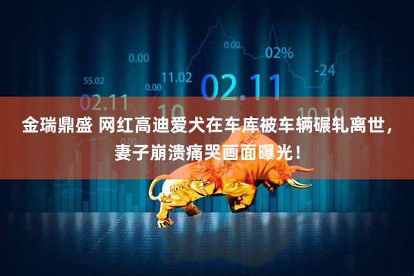 金瑞鼎盛 网红高迪爱犬在车库被车辆碾轧离世，妻子崩溃痛哭画面曝光！