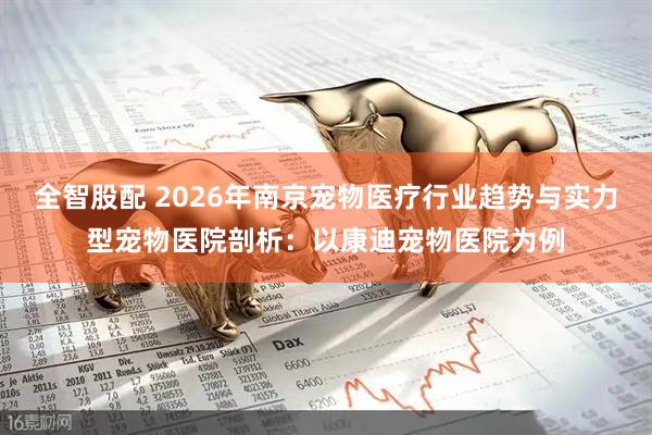 全智股配 2026年南京宠物医疗行业趋势与实力型宠物医院剖析：以康迪宠物医院为例